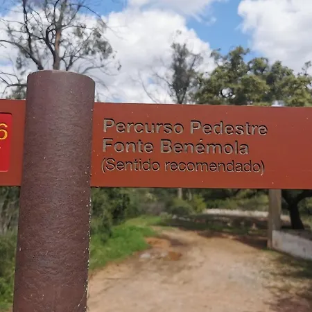 Casa De Ferias Escapadas Casa Amorosa Tranquilidade E Natureza 2 Quartos 6 Pessoas *